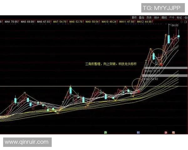 LNG中路突破之路：成功与挑战的深度剖析与反思